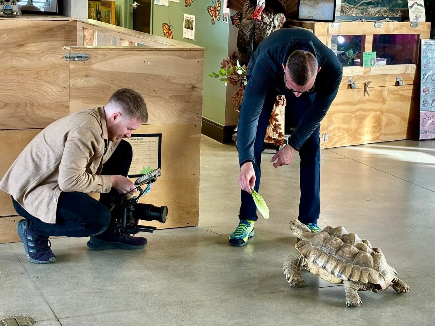 Videographer filming a keeper with a tortoise indoors