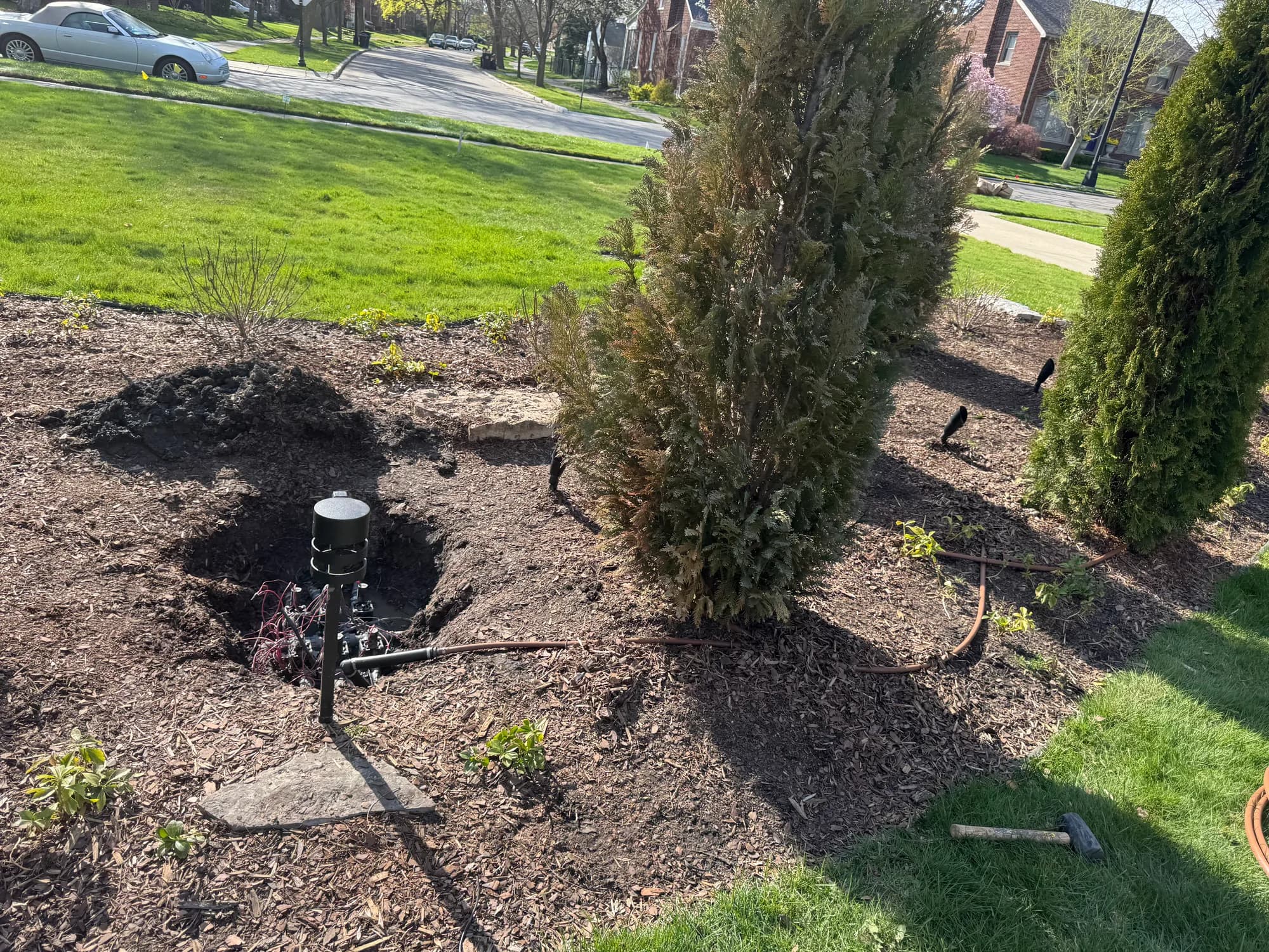 Valve dig in a landscaped bed beside evergreen shrubs