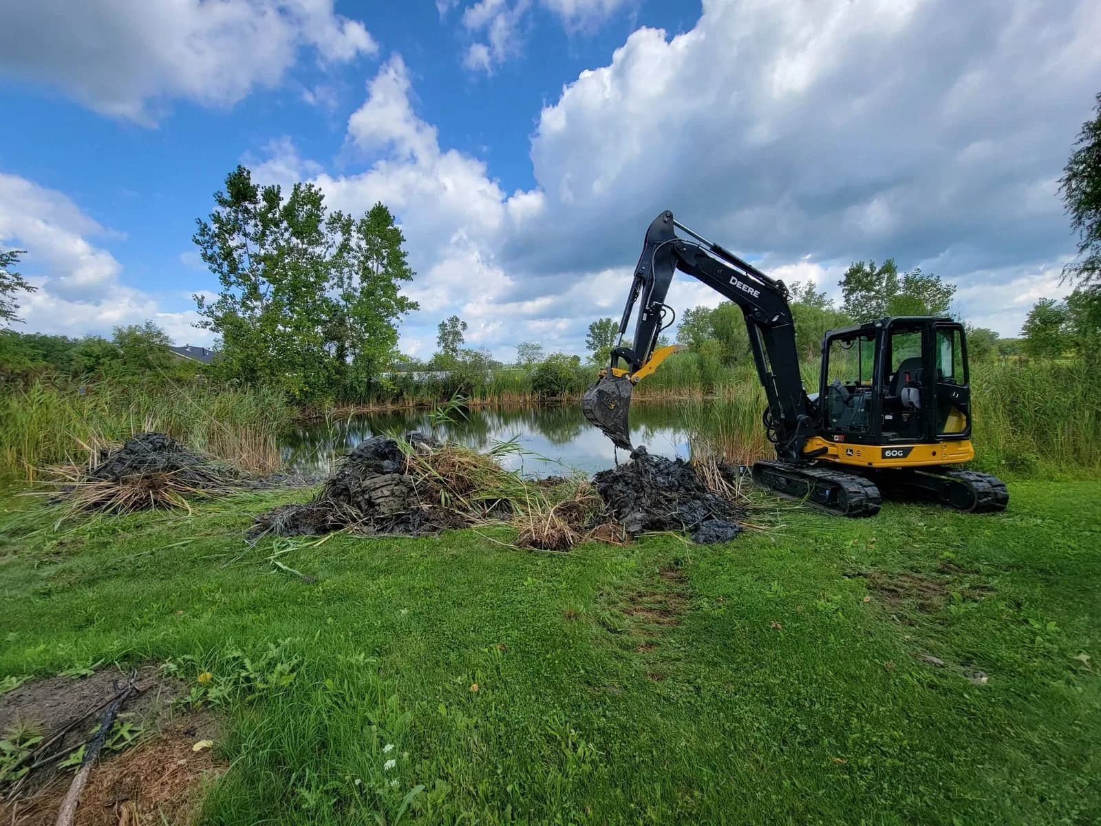 Excavator clearing overgrowth at the edge of a pond