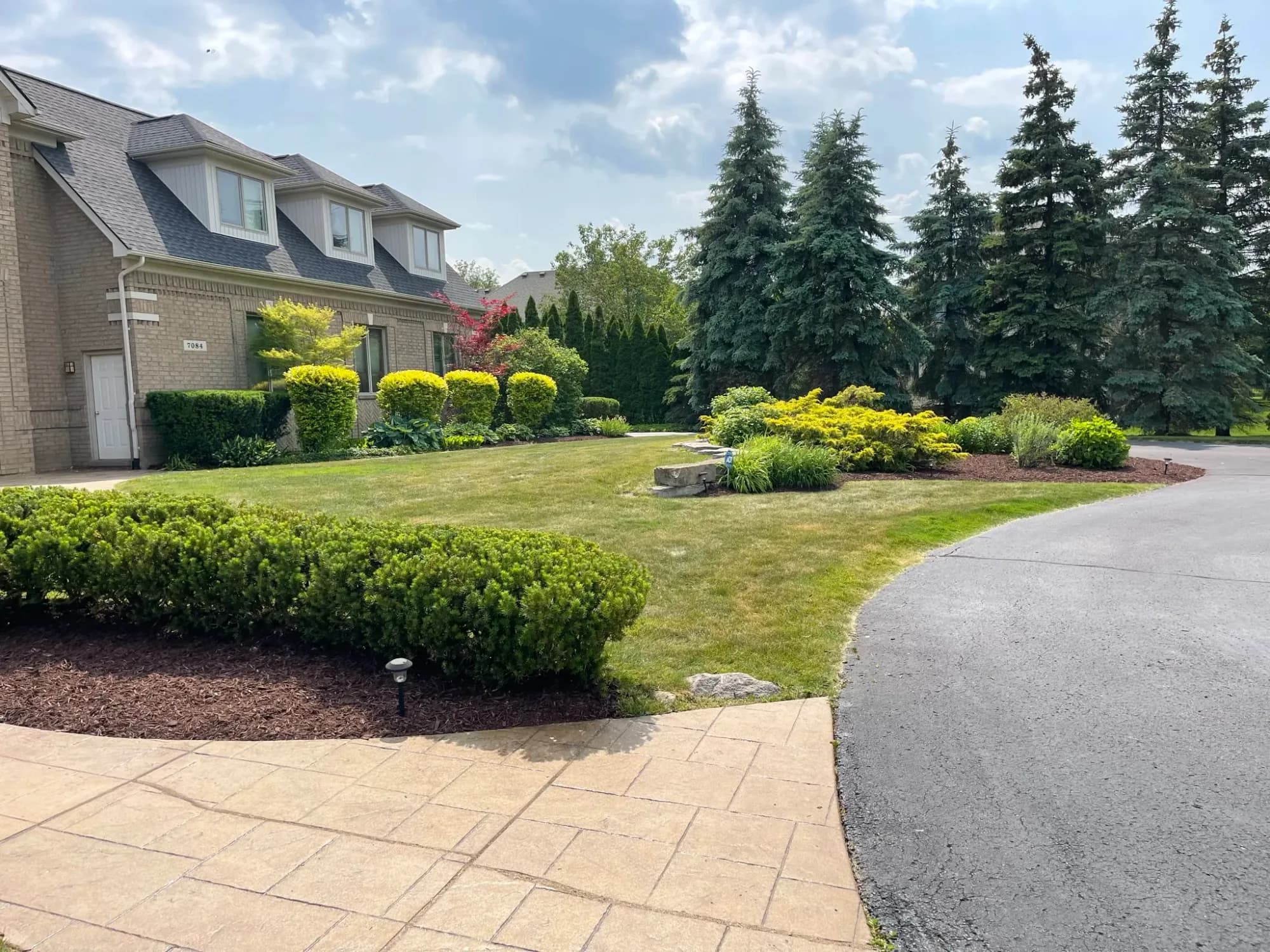 Trimmed hedge in a mulched bed beside a stamped concrete walkway