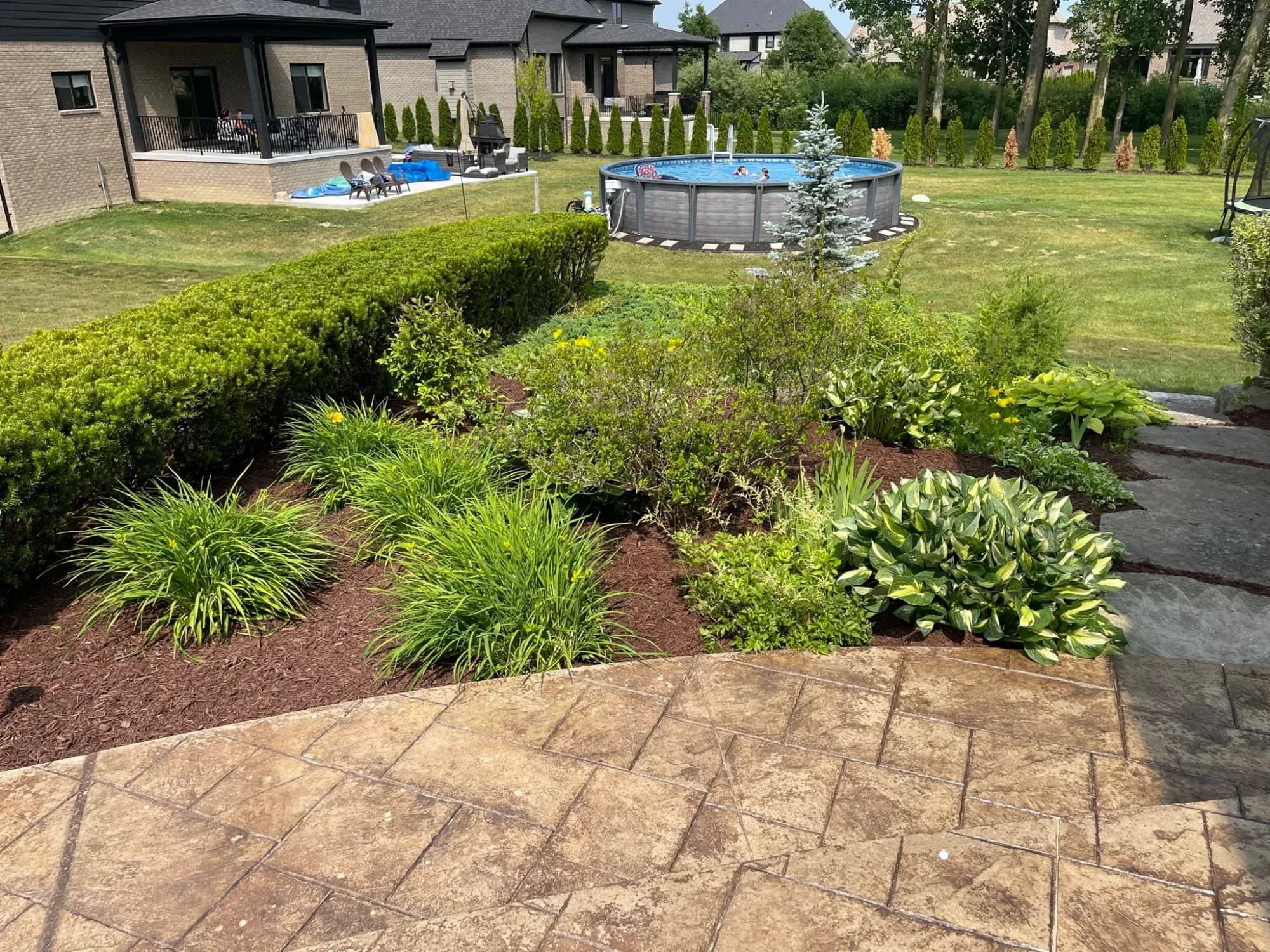 Planting beds of hostas and ornamental grasses next to a patio, with a pool behind