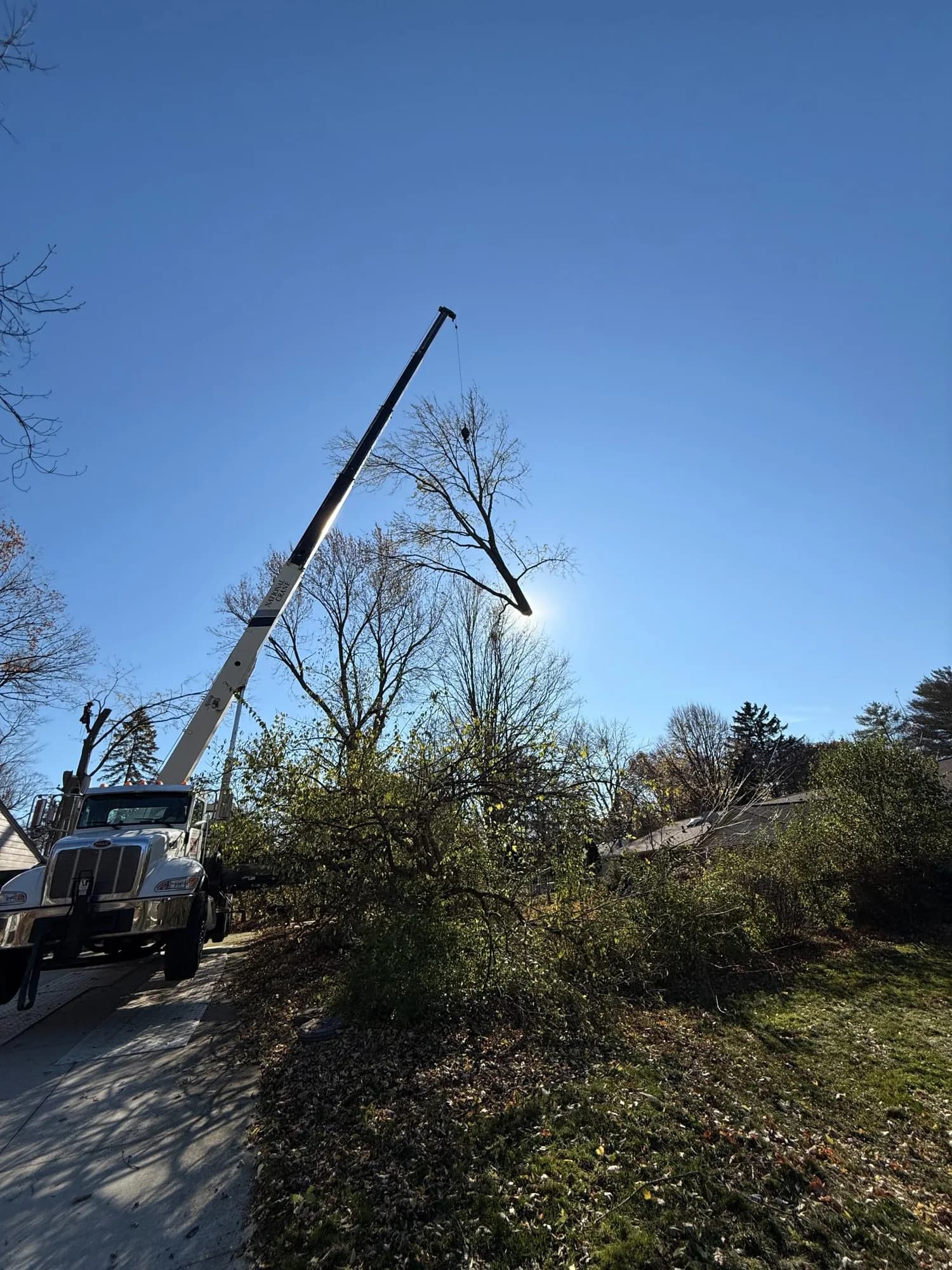 Truck-mounted crane lifting a tree section on a residential street