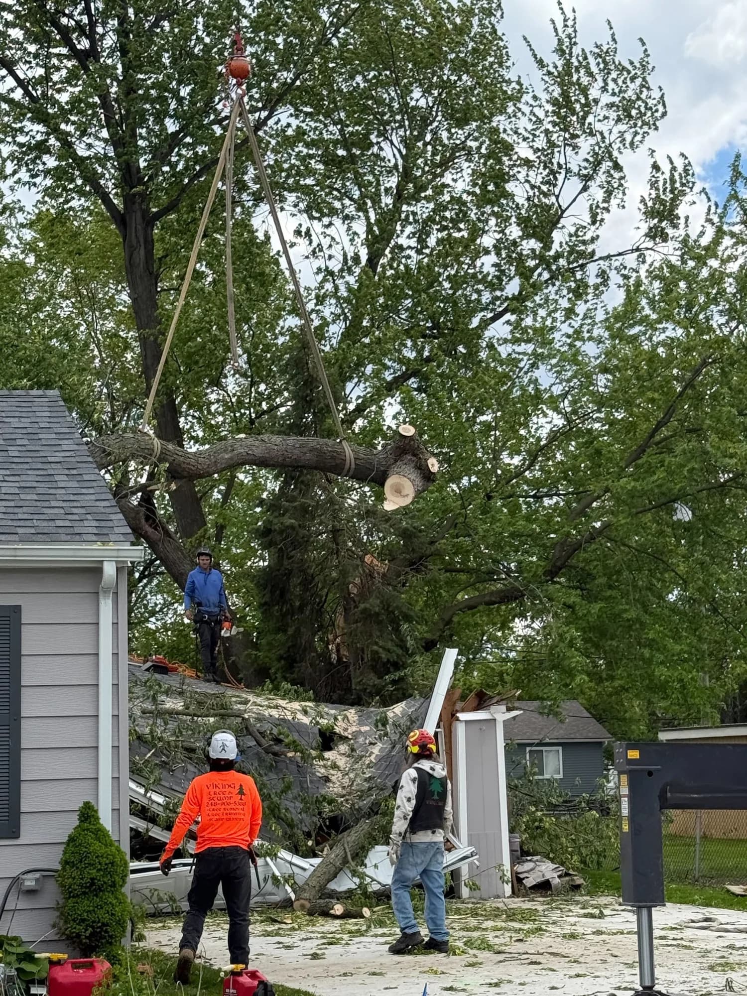 Crew lowering a large limb with ropes beside a house