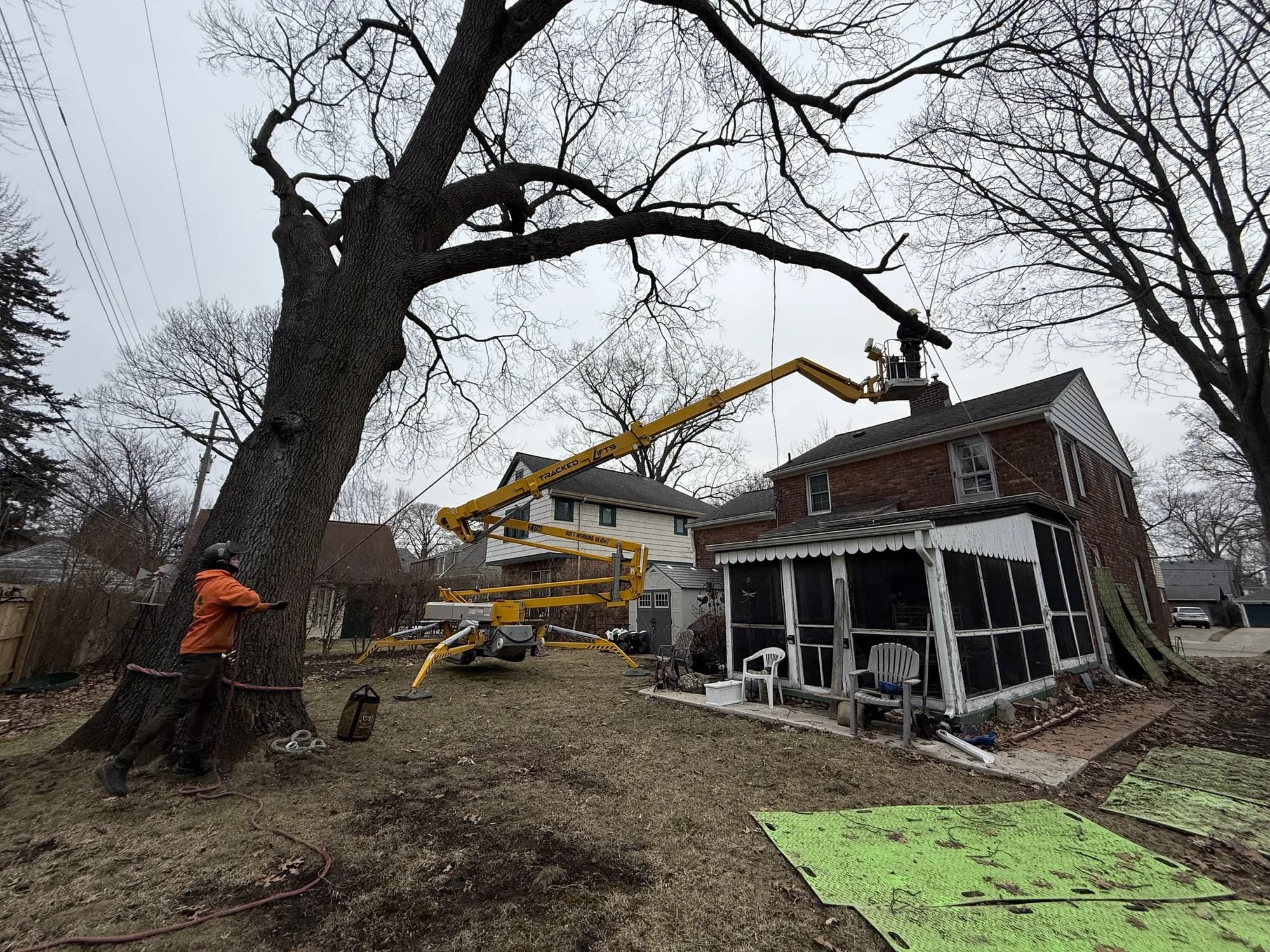 Crew cutting a large trunk next to a house while a lift works in the canopy