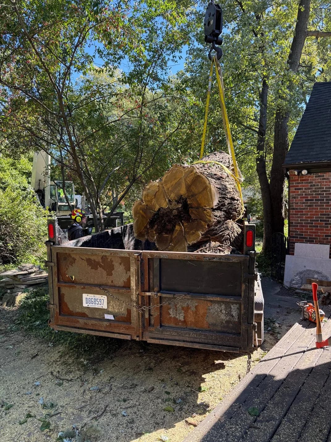 Large log lowered into a dump trailer in a driveway
