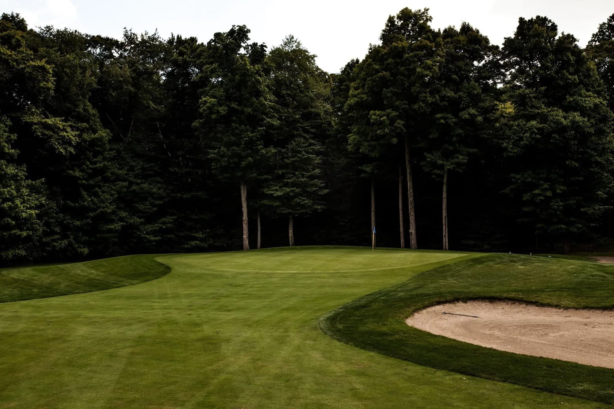 Green guarded by a bunker below a stand of tall trees