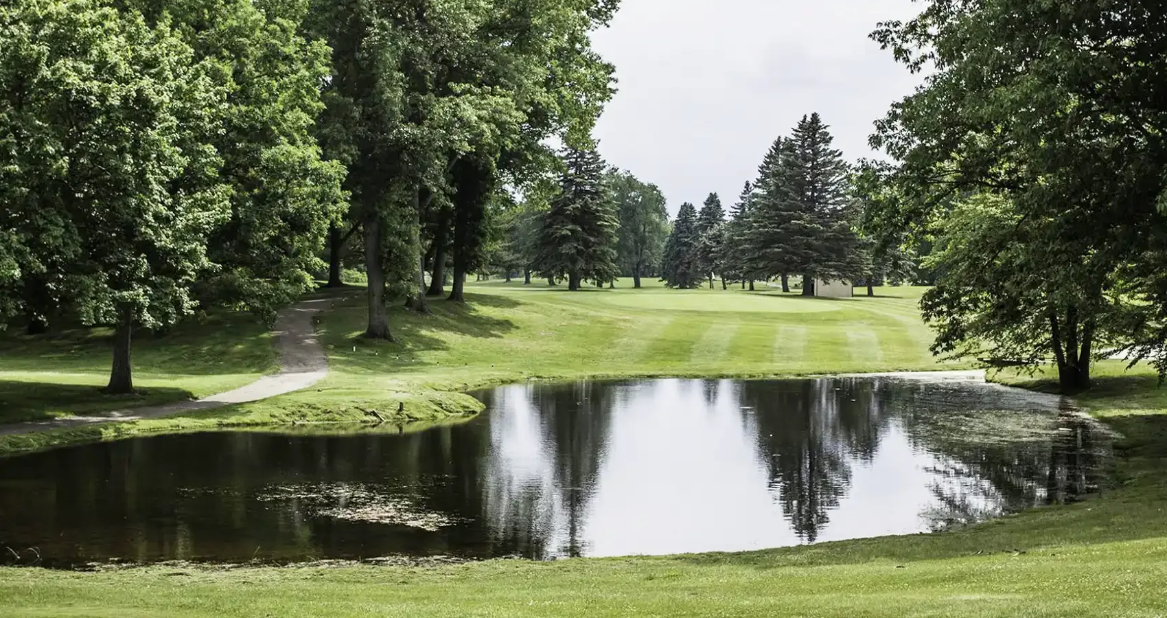 Pond beside a fairway framed by mature trees