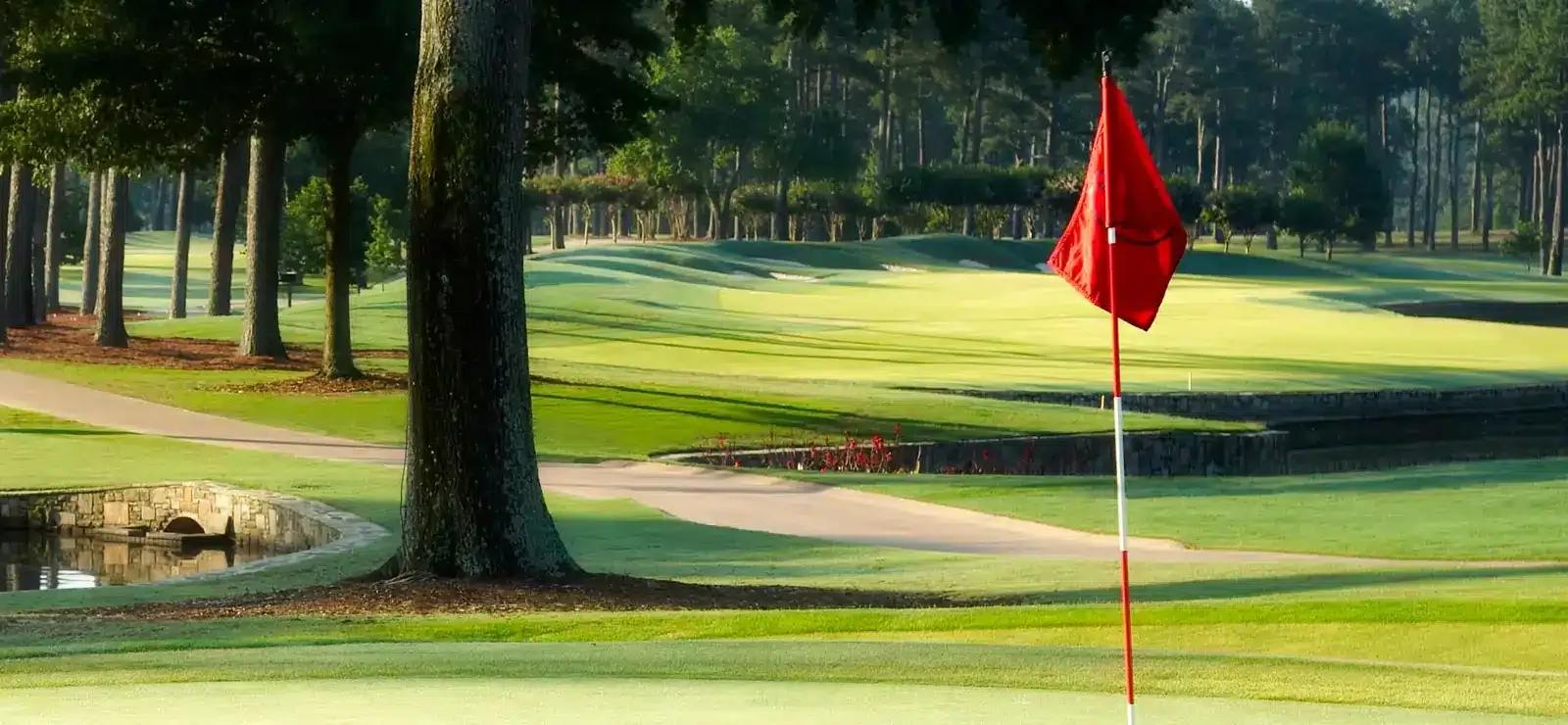Red flag on a green beside a large tree
